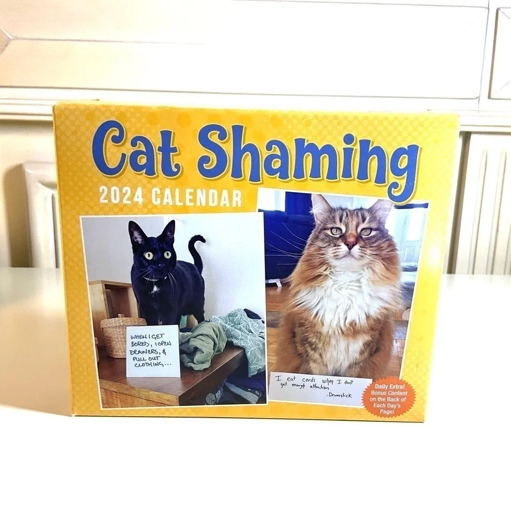 Cat Shaming 2024 Desk Calendar New Cat Lover Gift NWT